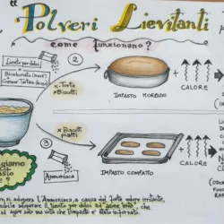 polveri lievitanti-01