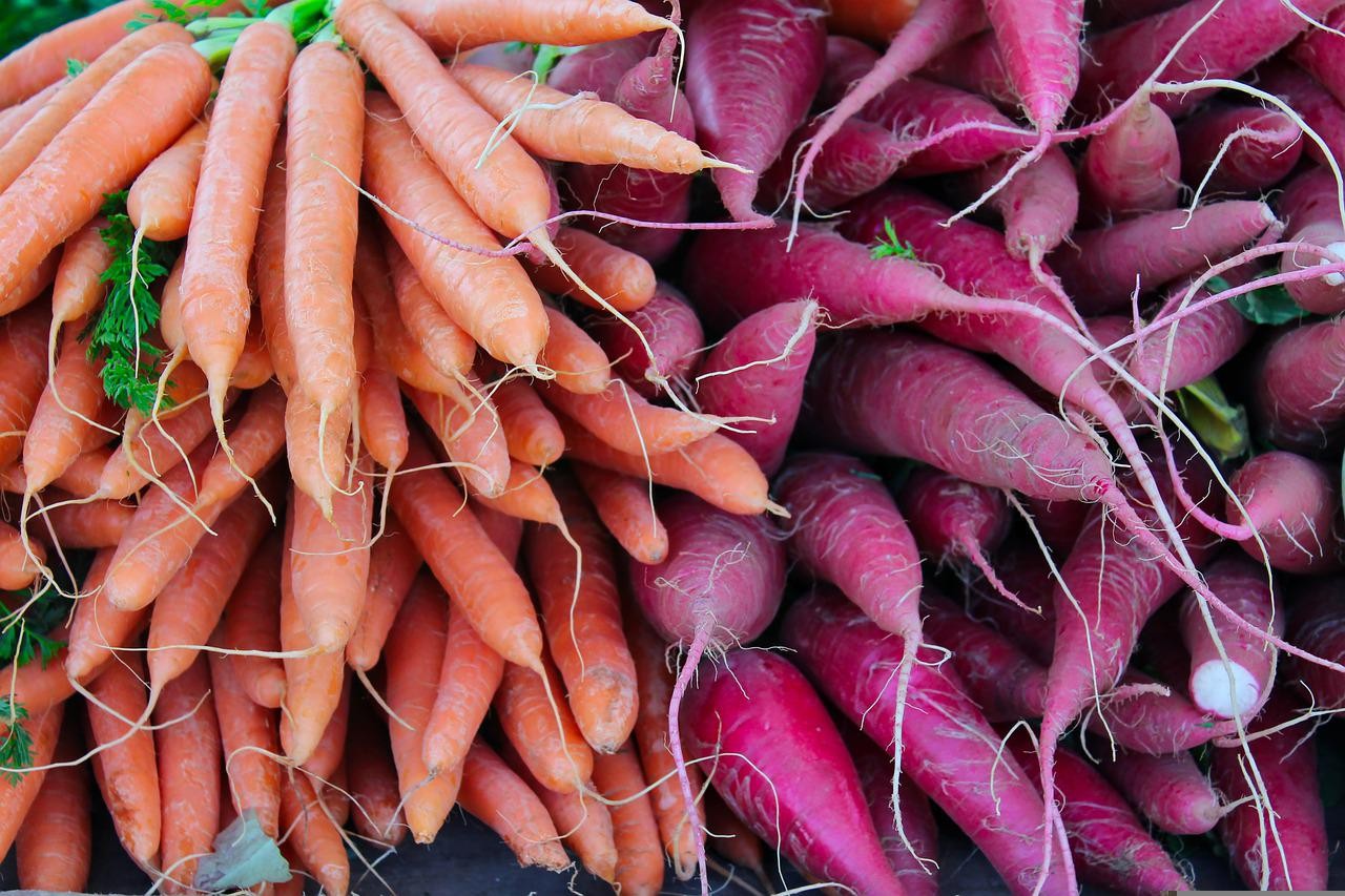 carrots, radish, vegetables-6158846.jpg